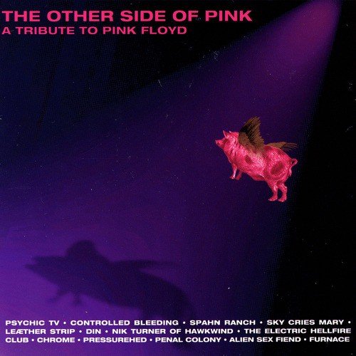 The Other Side Of Pink - A Tribute To Pink Floyd