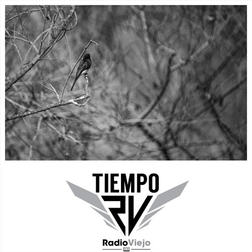 Tiempo