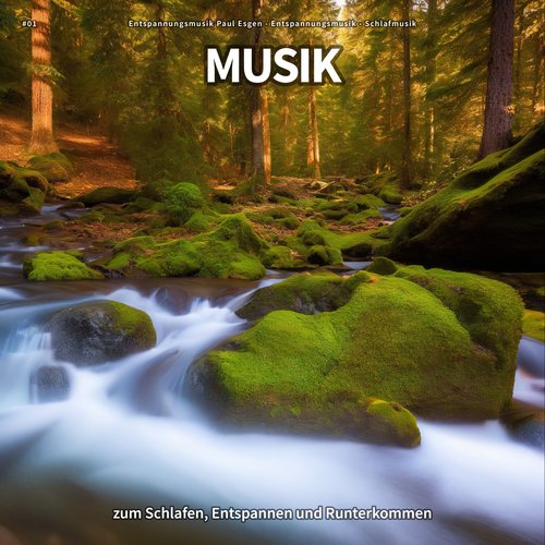 Yoga Musik