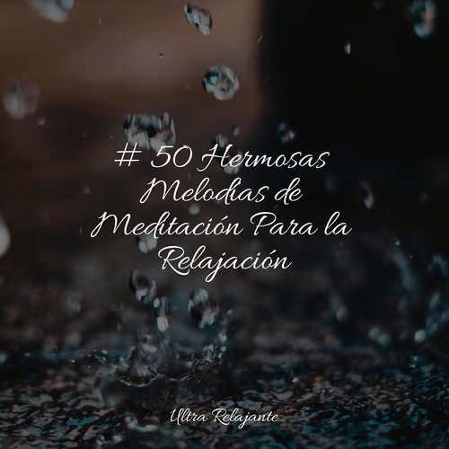 # 50 Hermosas Melodías de Meditación Para la Relajación_poster_image