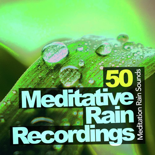 Meditation Rain Sounds cover art