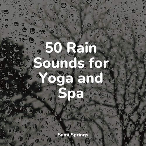 50 Rain Sounds for Yoga and Spa_poster_image