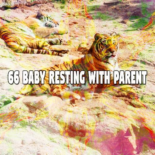 66 Baby Resting with Parent