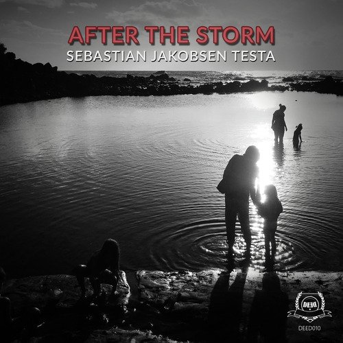 After the Storm cover art