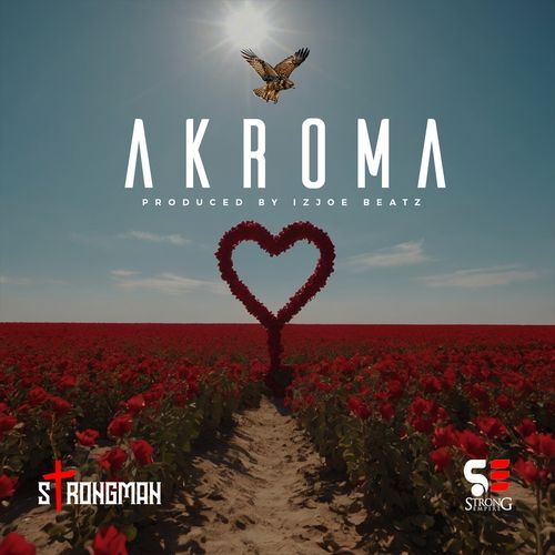 Akroma cover art