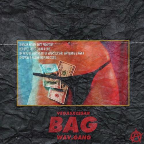 Bag (with AWKN Cult)_poster_image