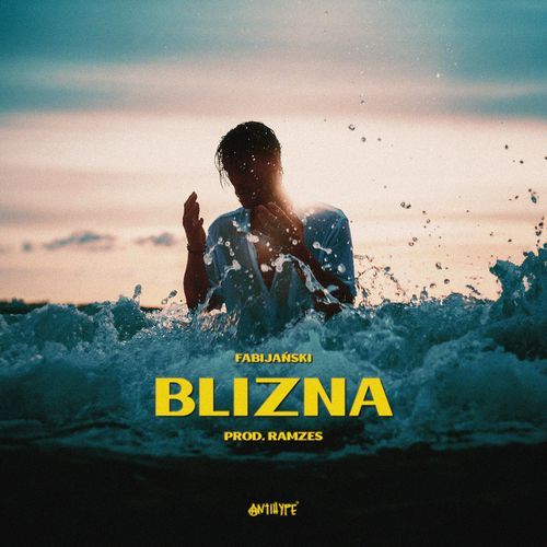 Blizna cover art