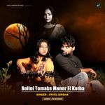 Bolini Tomake Moner Ei Kotha