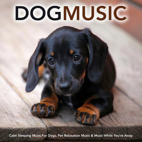 Soothing Sleeping Music For Dogs