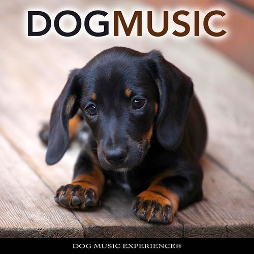Relaxing Music For Dogs