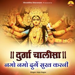Durga Chalisa Namo Namo Durge Sukh Karni