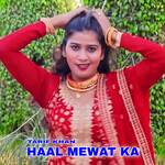 Haal Mewat Ka