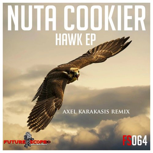 Hawk (Axel Karakasis Remix) cover art