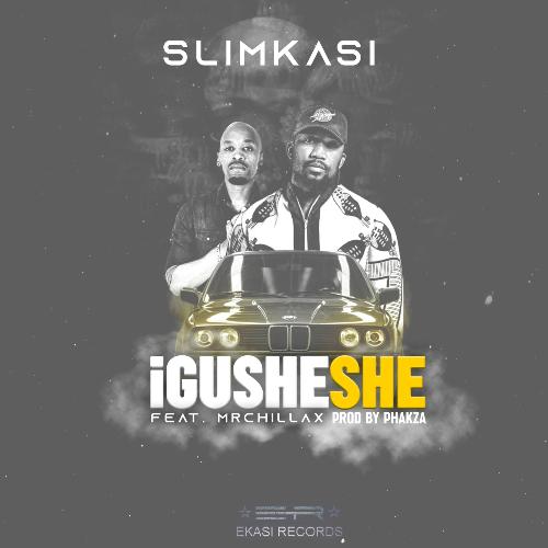 Igusheshe (feat. Mr Chillax) cover art