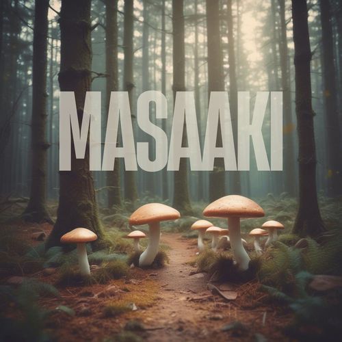 Masaaki Soojin cover art