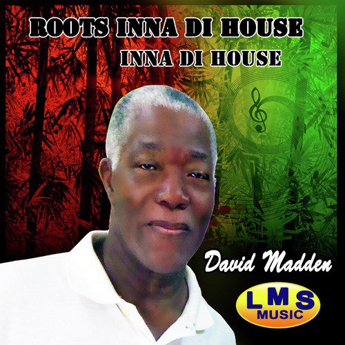 Roots Inna Di House_poster_image