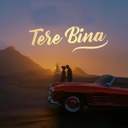 Tere Bina-AiAqVkdyAEM