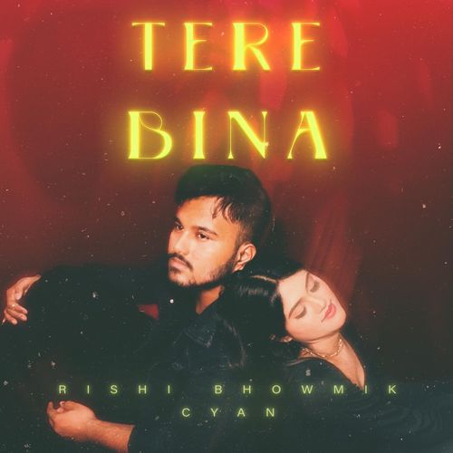 Tere Bina