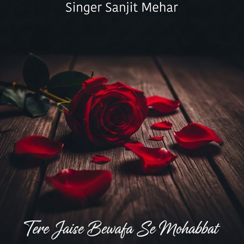 Tere Jaise Bewafa Se Mohabbat