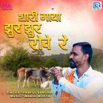 Thari Gaya Jhur Jhur Rove Re