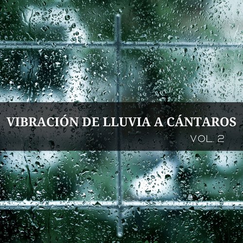 Vibración De Lluvia A Cántaros Vol. 2