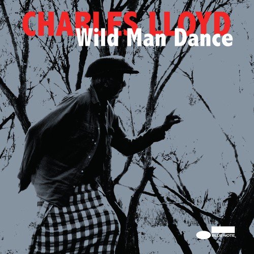 Wild Man Dance (Live At Jazztopad Festival, Wroclaw, Poland)_poster_image