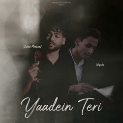 Yaadein Teri