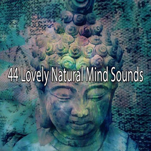 44 Lovely Natural Mind Sounds