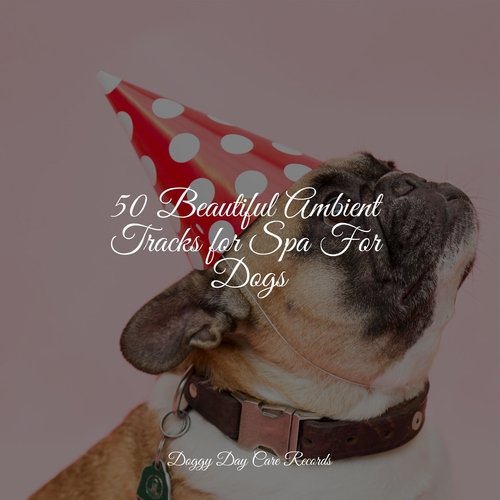 50 Beautiful Ambient Tracks for Spa For Dogs