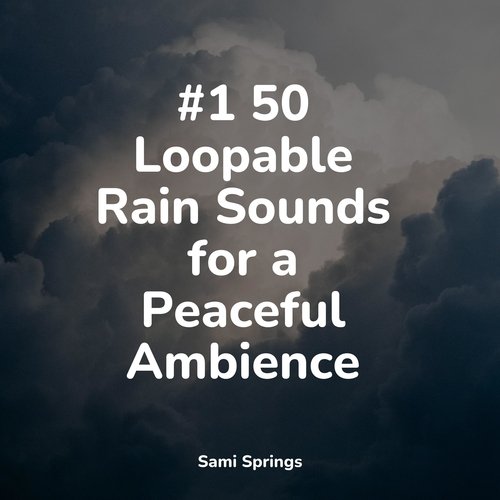 Rain, Storm and Thunder cover art