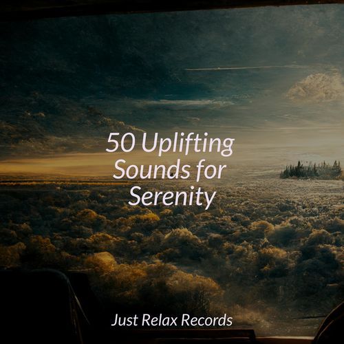 50 Uplifting Sounds for Serenity_poster_image