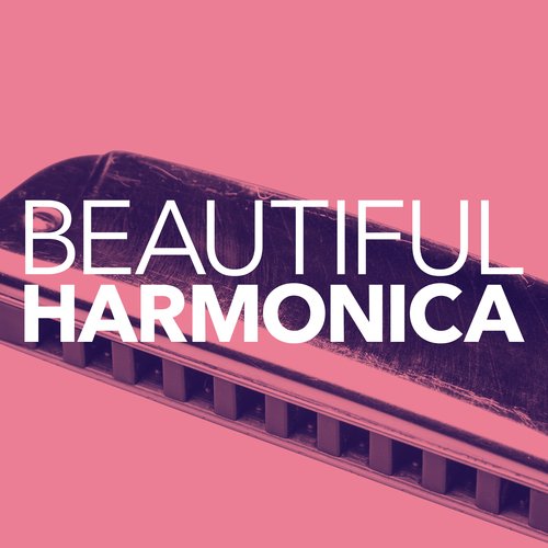Beautiful Harmonica