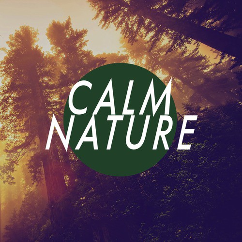 Calm Nature