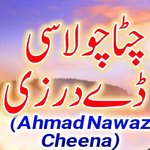 Chitta Chola Si De Darzi