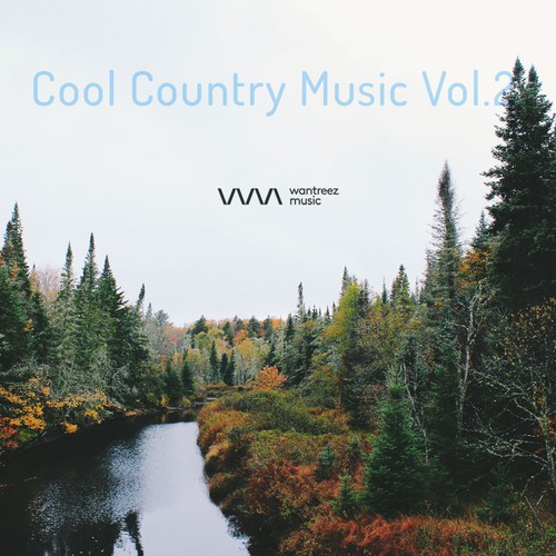Cool Country Music Vol.2