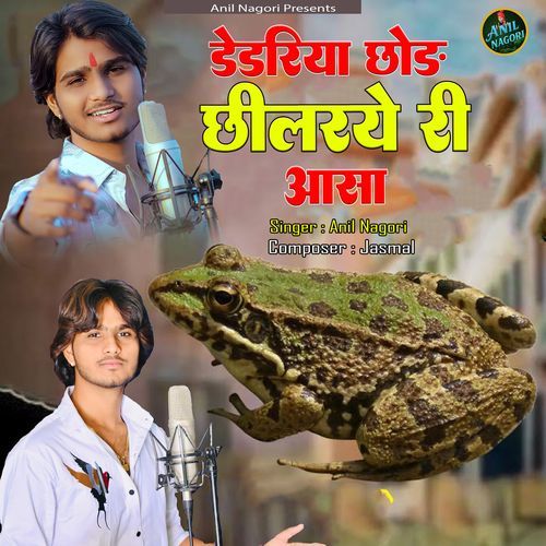 Dedriyo Chhod Chhilarya Ri Aasha