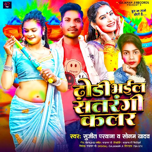Dhodi Bhail Satarangi Colour cover art
