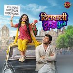 Dilwali Dulha Le Jayegi Title Track