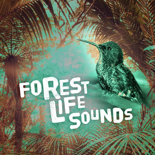 Forest Life Sounds