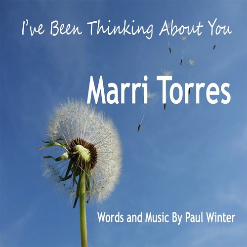 I've Been Thinking About You (feat. Paul Winter)_poster_image