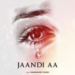 Jaandi Aa