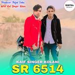 Kaif Singer SR 6514