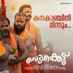 Kanakanjini Minnum (From "Vedikkettu")