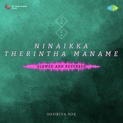 Ninaikka Therintha Maname - Slowed and Reverbed-Oi0fcBxGaAA