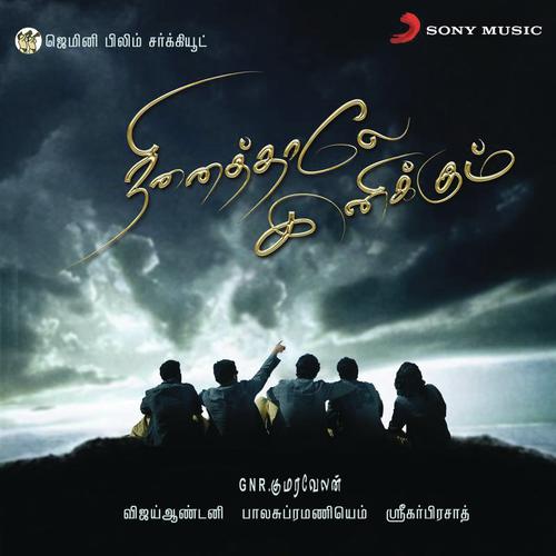 ninaithale inikkum nanbanai partha song