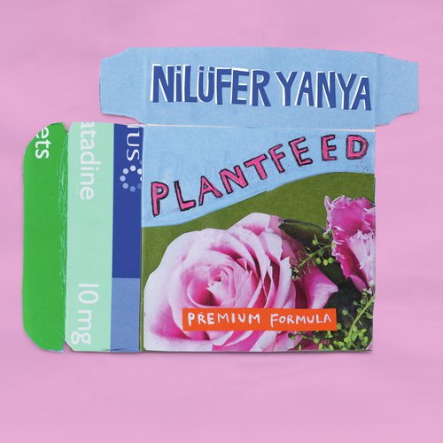 Sliding Doors Lyrics Nilufer Yanya Only on JioSaavn