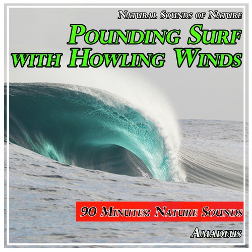 Pounding Surf with Howling Winds: Natural Sounds of Nature