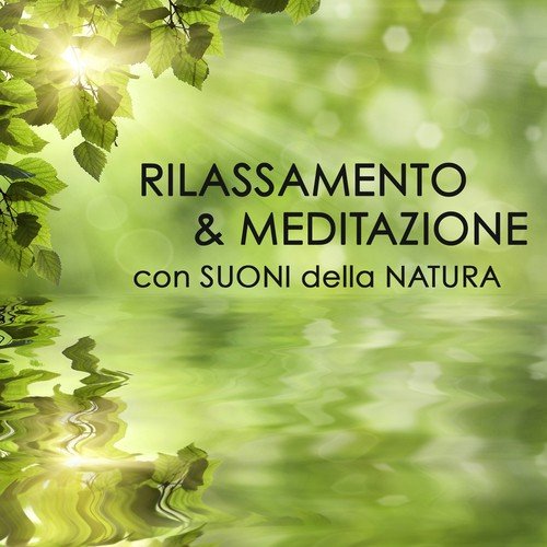 Armonia e Serenità cover art