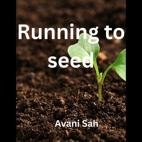 Running to Seed cover art