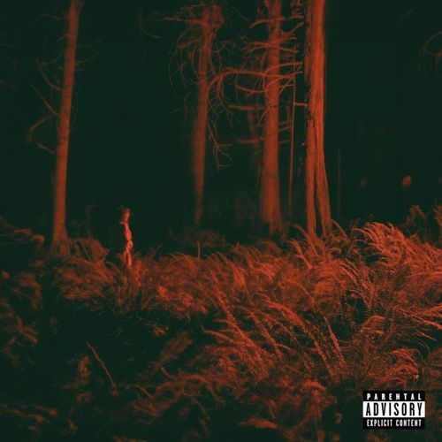 WE MATCHING cover art